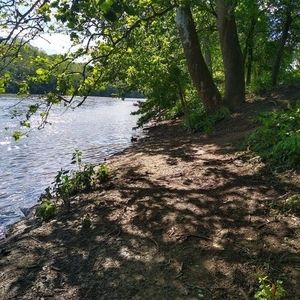 Meet your Posher, Carol